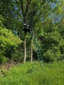 Confort du chasseur